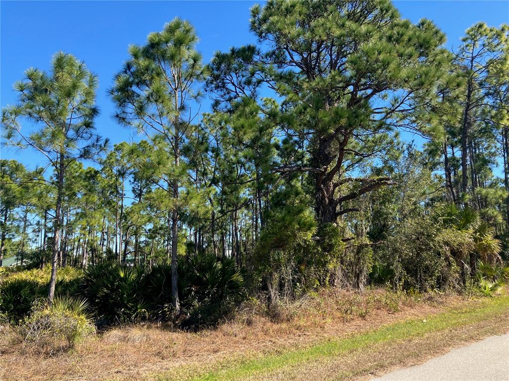 Property for sale at 26334 EAGER ROAD, PUNTA GORDA, FL, 33955