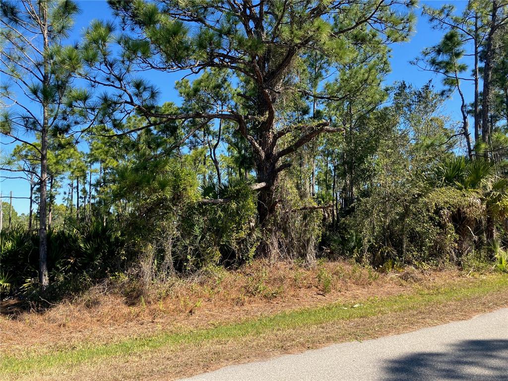 Property for sale at 26334 EAGER ROAD, PUNTA GORDA, FL, 33955