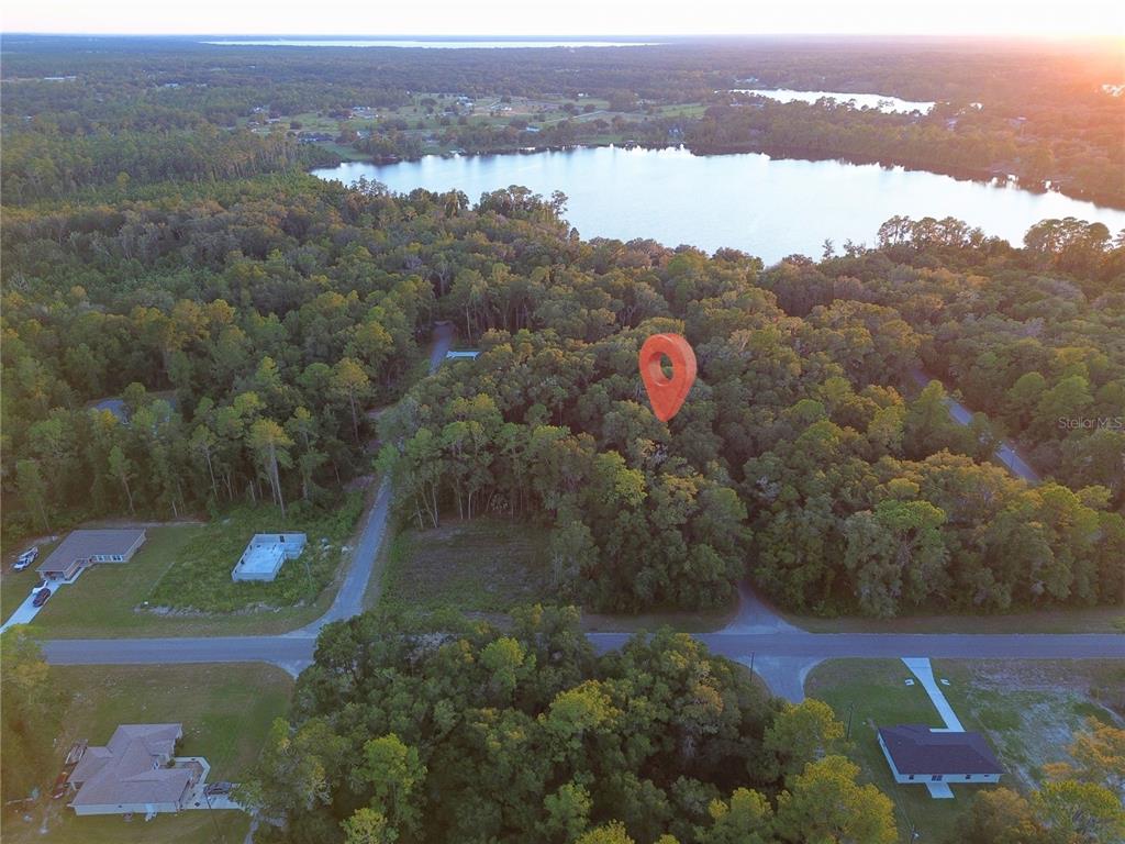 Property for sale at TBD SEQUOIA LOOP TRACK, OCKLAWAHA, FL, 32179