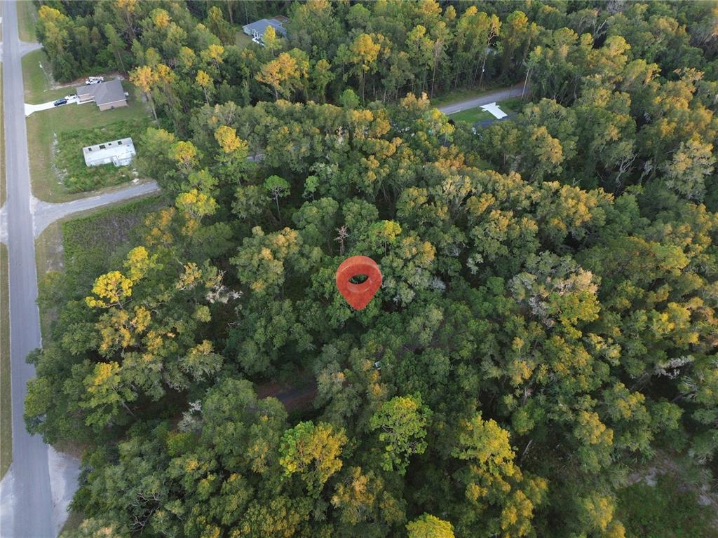 Property for sale at TBD SEQUOIA LOOP TRACK, OCKLAWAHA, FL, 32179