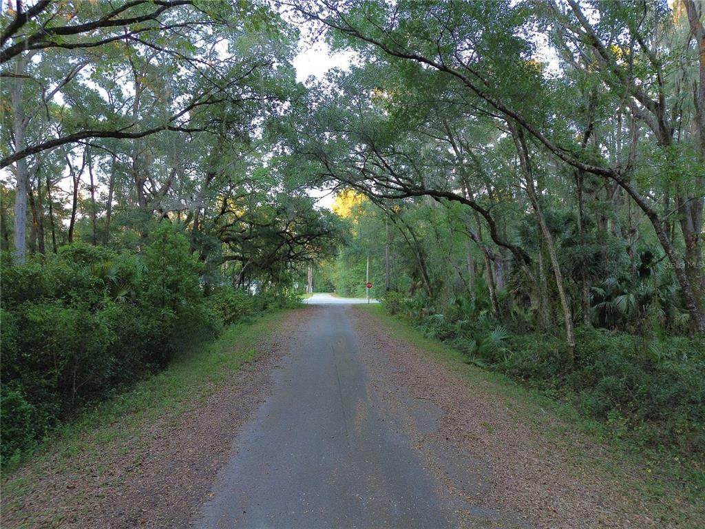 Property for sale at TBD SEQUOIA LOOP TRACK, OCKLAWAHA, FL, 32179