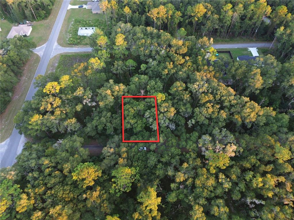 Property for sale at TBD SEQUOIA LOOP TRACK, OCKLAWAHA, FL, 32179
