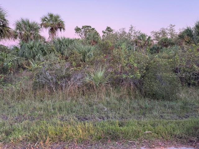 Property for sale at 2106 RICKOVER STREET, PORT CHARLOTTE, FL, 33953
