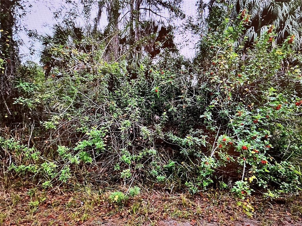Property for sale at LOT 24 CAMPBELL STREET, NORTH PORT, FL, 34288