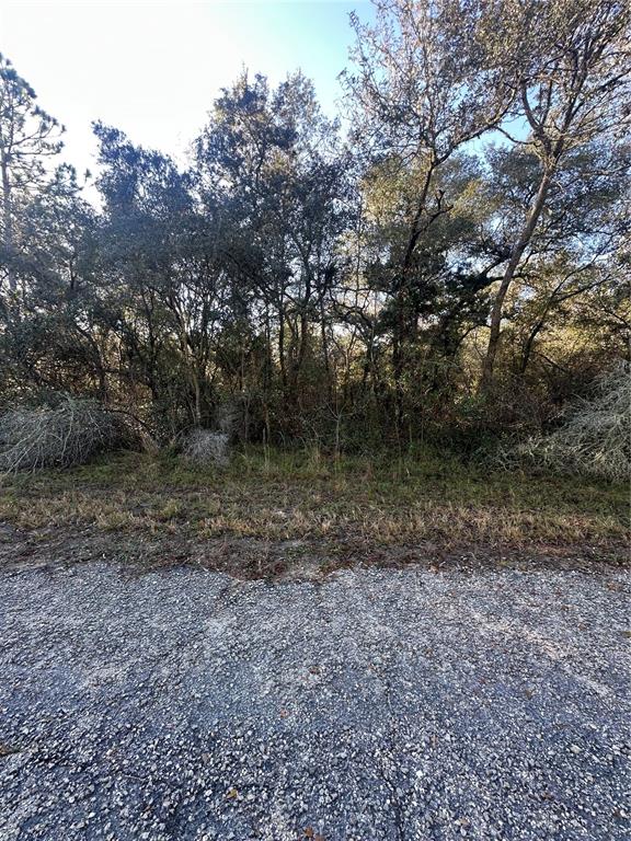 Property for sale at 3908 W TROPIC LANE, DUNNELLON, FL, 34433