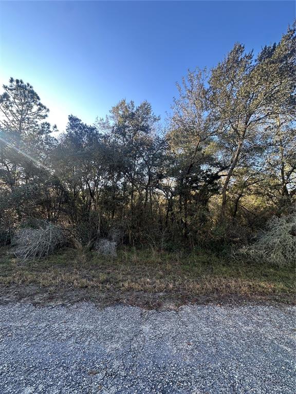 Property for sale at 3908 W TROPIC LANE, DUNNELLON, FL, 34433