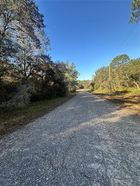 Property for sale at 3908 W TROPIC LANE, DUNNELLON, FL, 34433