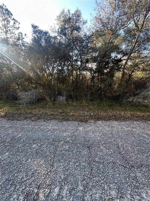 Property for sale at 3908 W TROPIC LANE, DUNNELLON, FL, 34433