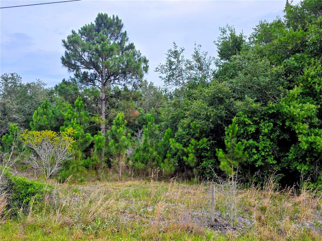Property for sale at 0 AVON PARK CUTOFF ROAD, FORT MEADE, FL, 33841