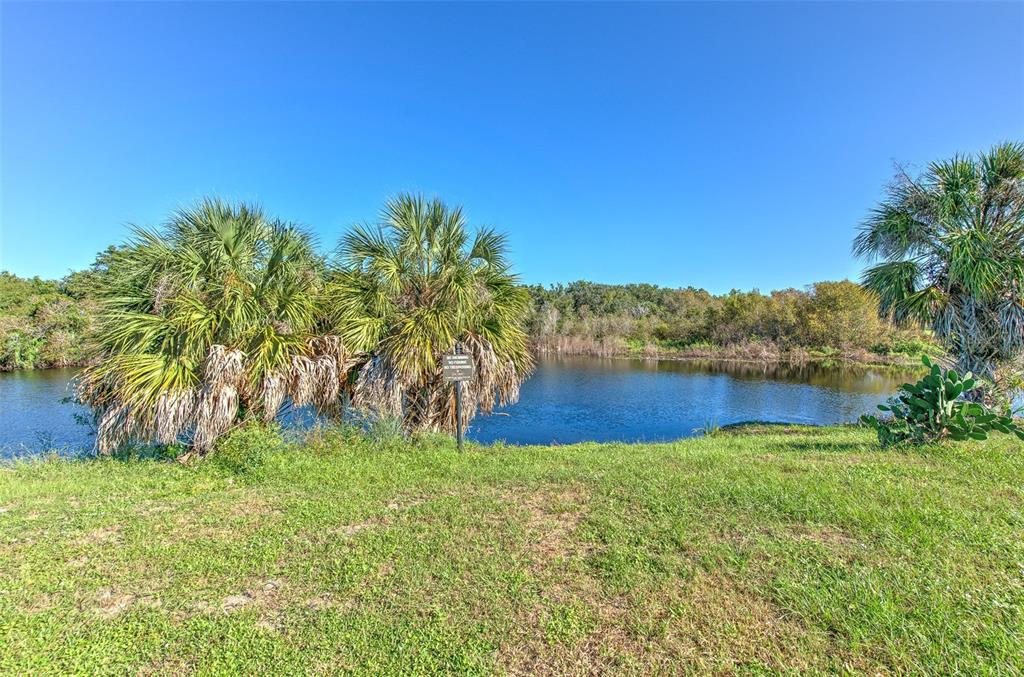 Property for sale at 8804 SANDY PLAINS DRIVE, RIVERVIEW, FL, 33578