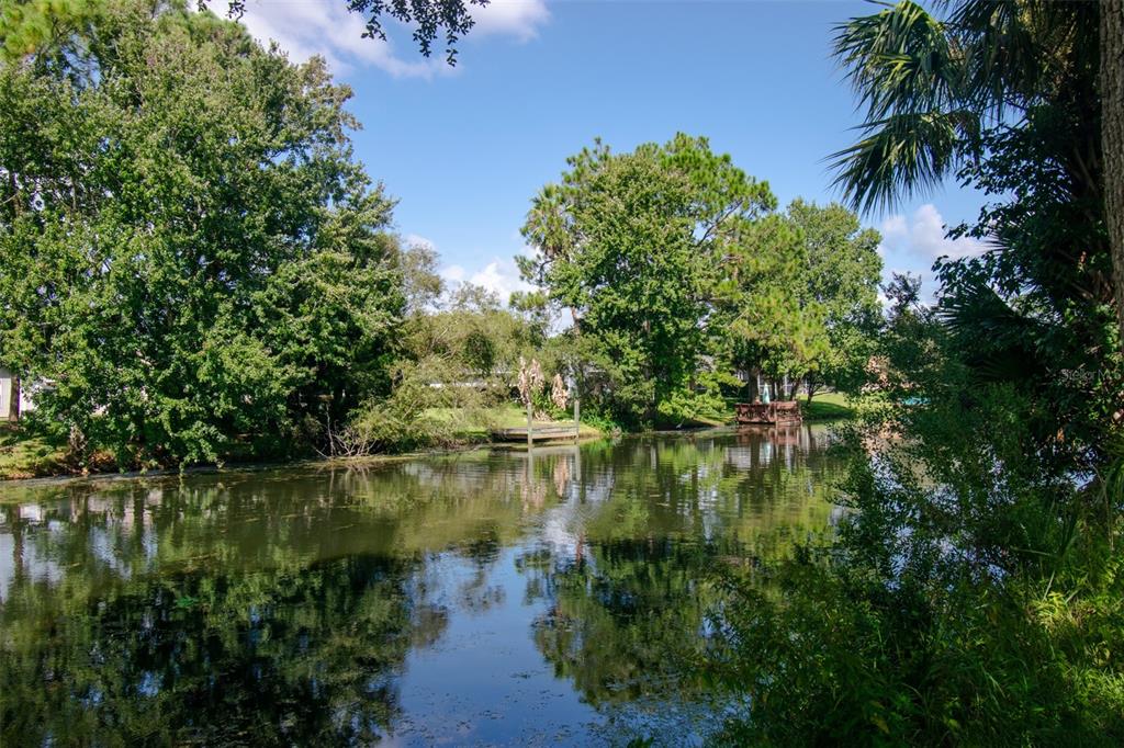 Property for sale at 225 BIRCHWOOD DRIVE, PALM COAST, FL, 32137