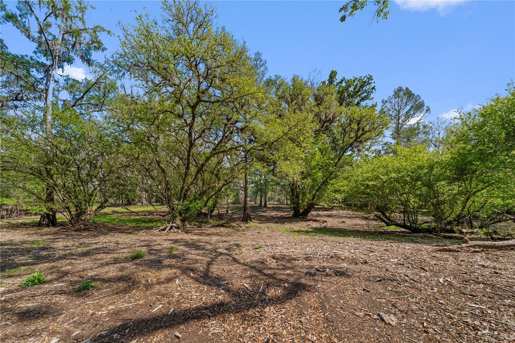 Property for sale at 615 NE 904 STREET, OLD TOWN, FL, 32680