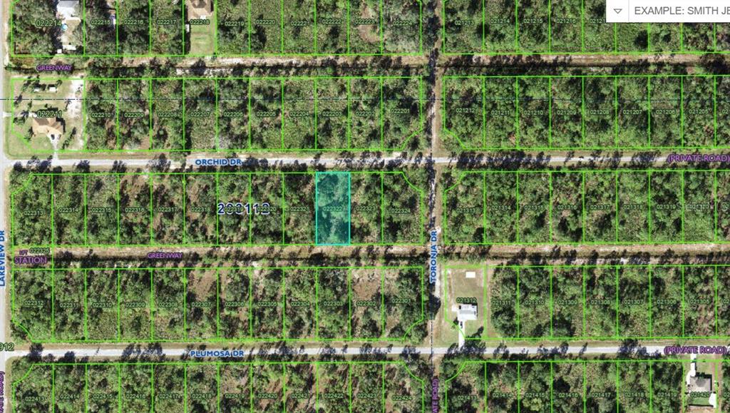 Property for sale at 905 ORCHID DR, INDIAN LAKE ESTATES, FL, 33855
