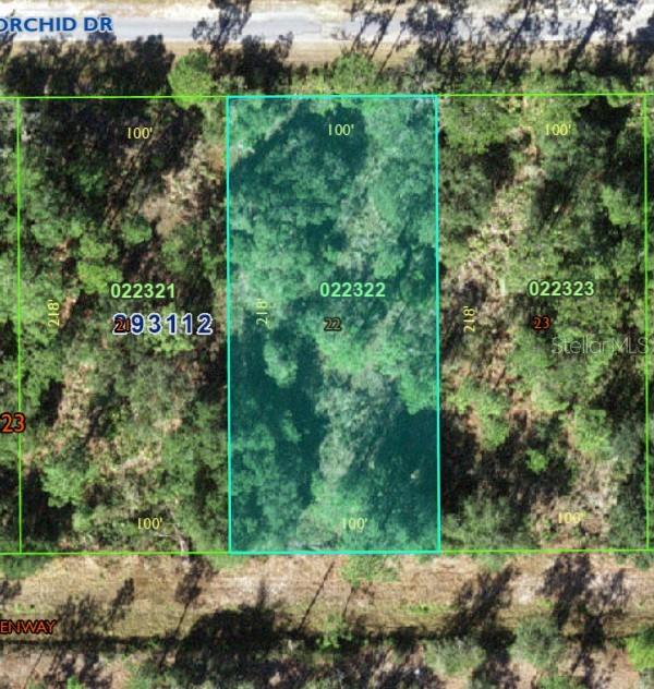 Property for sale at 905 ORCHID DR, INDIAN LAKE ESTATES, FL, 33855