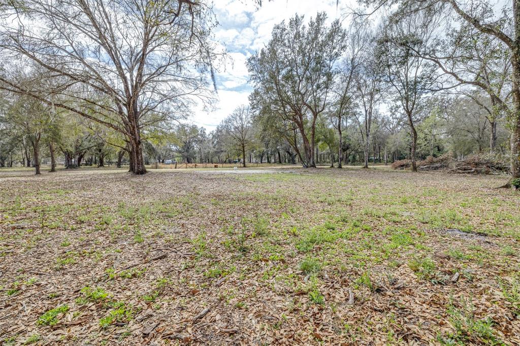 Back of property