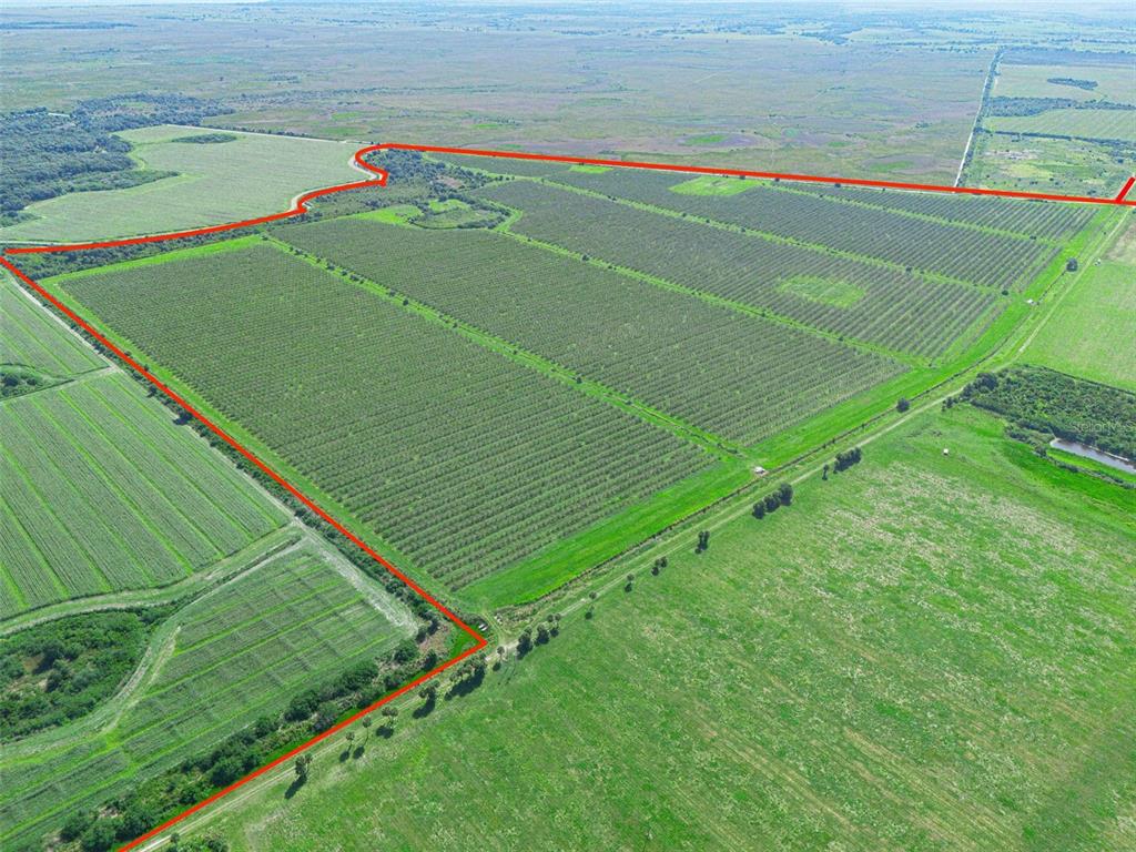 Property for sale at STATE RD 60, OKEECHOBEE, FL, 34972