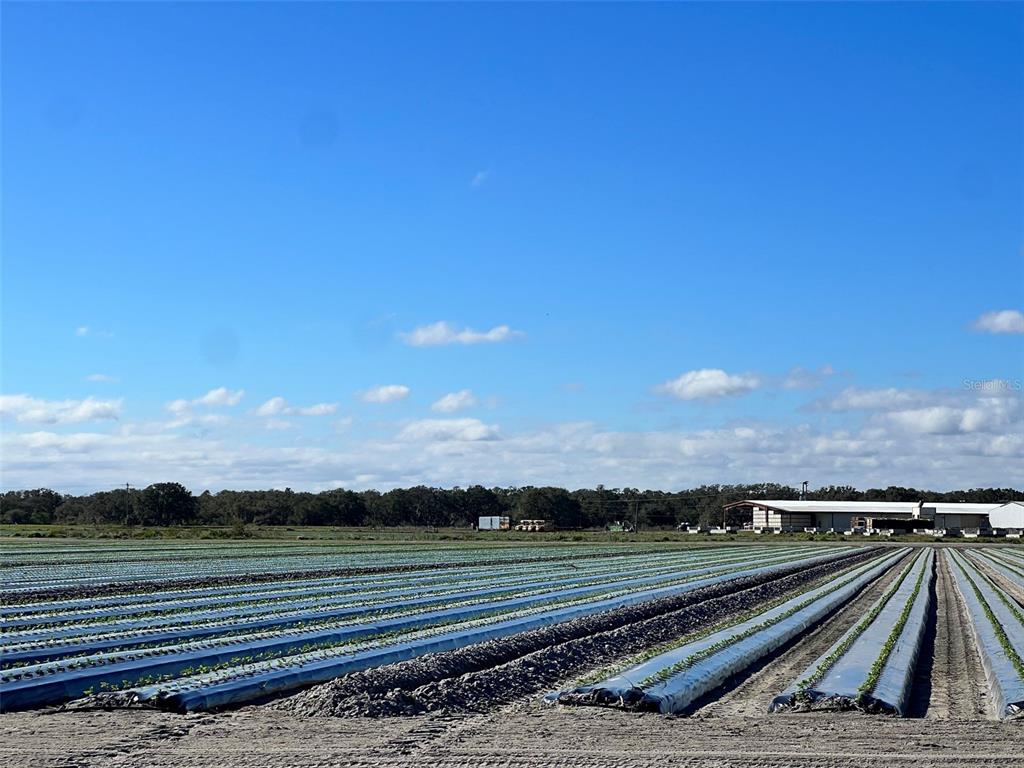 Property for sale at STATE RD 60, OKEECHOBEE, FL, 34972