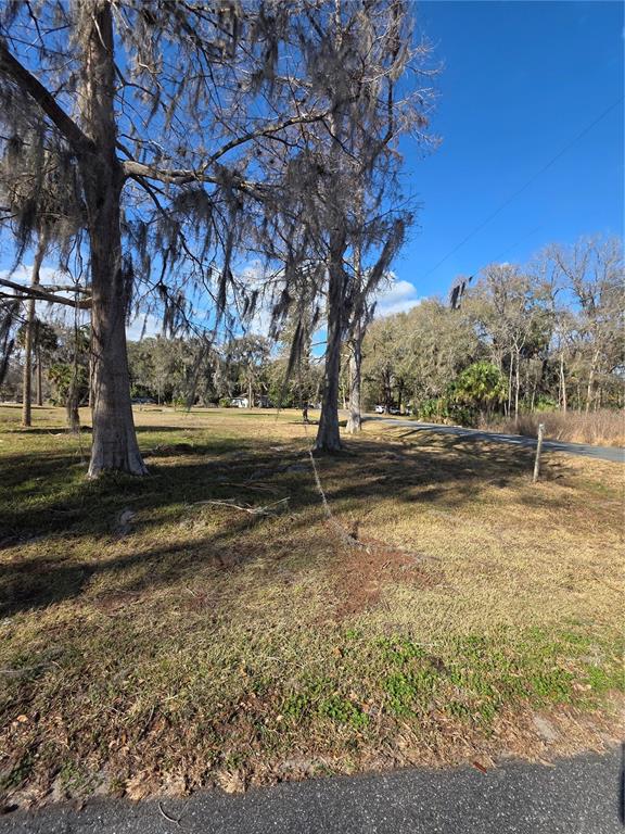 Property for sale at TBD CR 426, LAKE PANASOFFKEE, FL, 33538