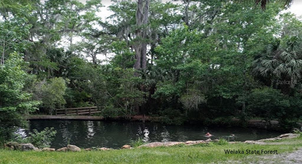 Property for sale at 175 PARK AVENUE, INTERLACHEN, FL, 32148