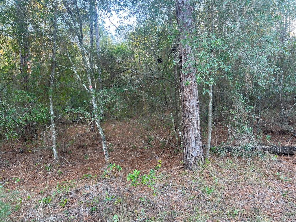 Property for sale at 0 BLAIR AVENUE, BROOKSVILLE, FL, 34604