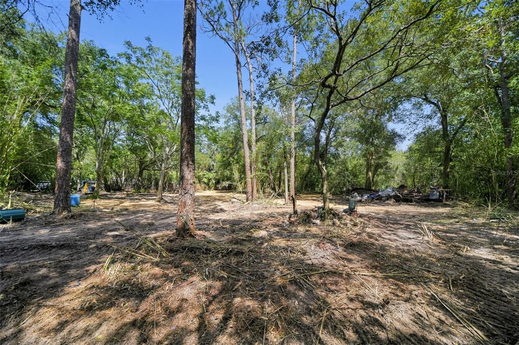 Property for sale at 31526 SUNRISE STREET, MOUNT DORA, FL, 32757