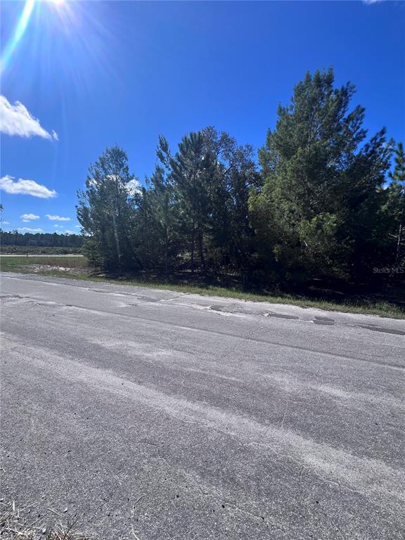Property for sale at FISHER TERRACE RUN, OCKLAWAHA, FL, 32179