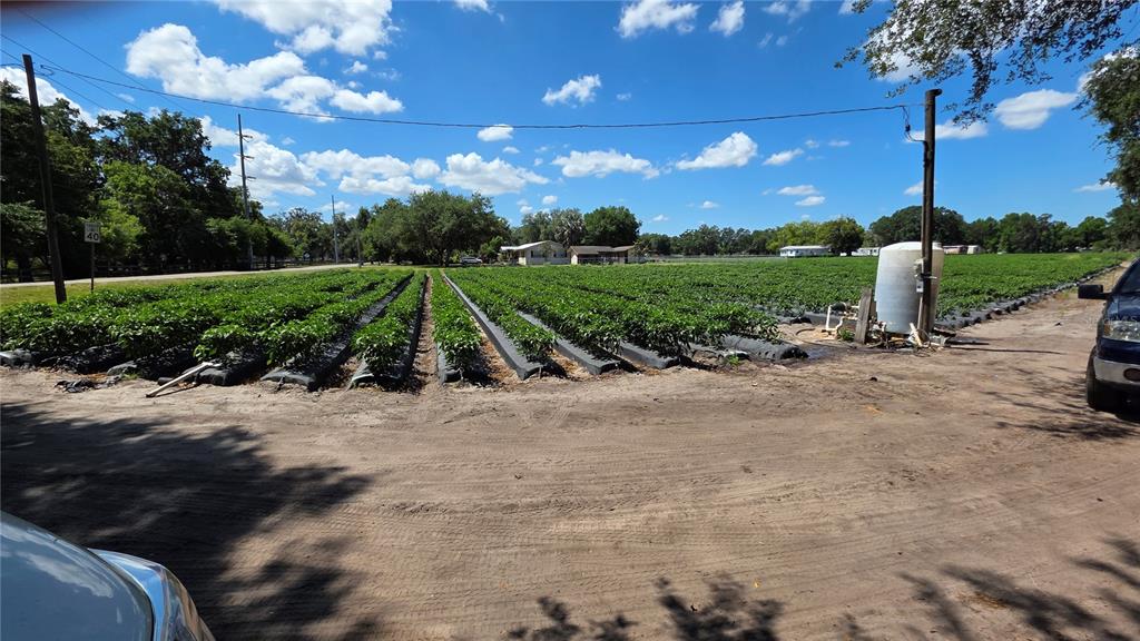 CURRENTLY AN INCOME-PRODUCING PROPERTY – HOLD WHILE YOU PLAN & BUILDRented out to Strawberry FarmersHas a Well & Electricity
