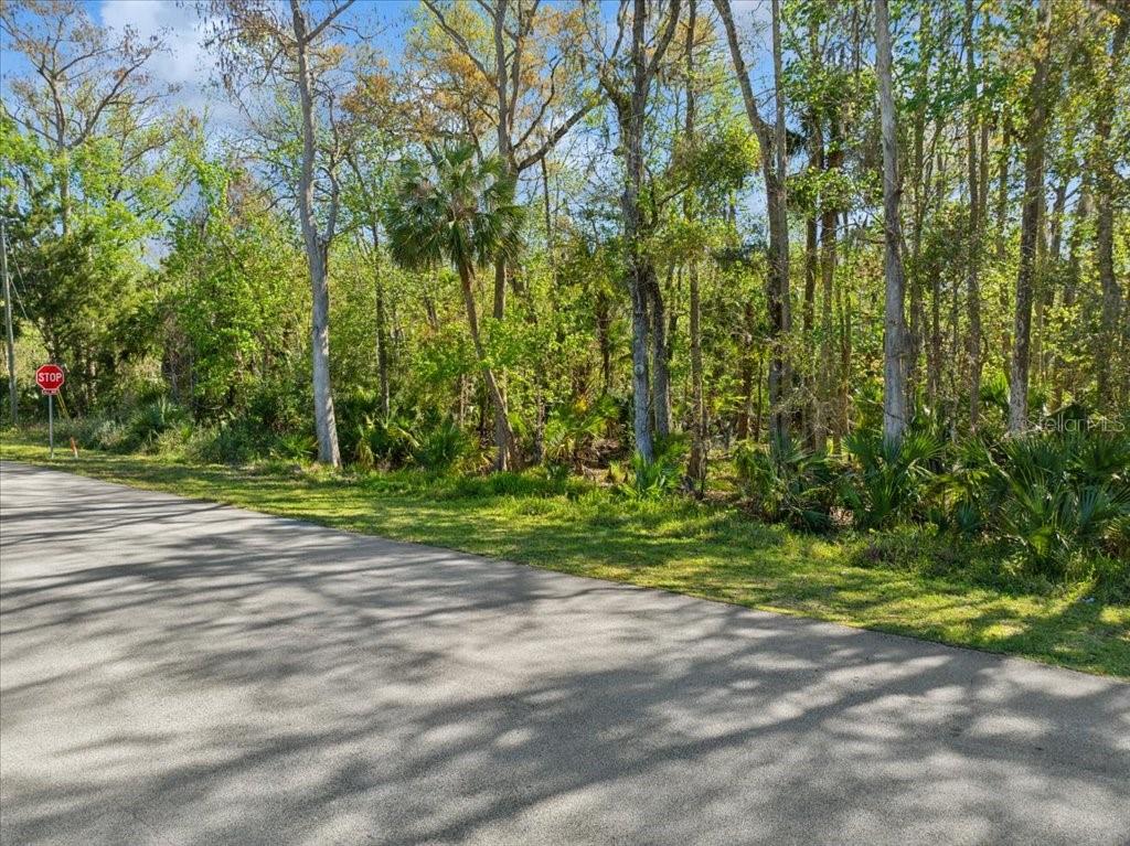 Property for sale at 138 BLARE DRIVE, PALM COAST, FL, 32137