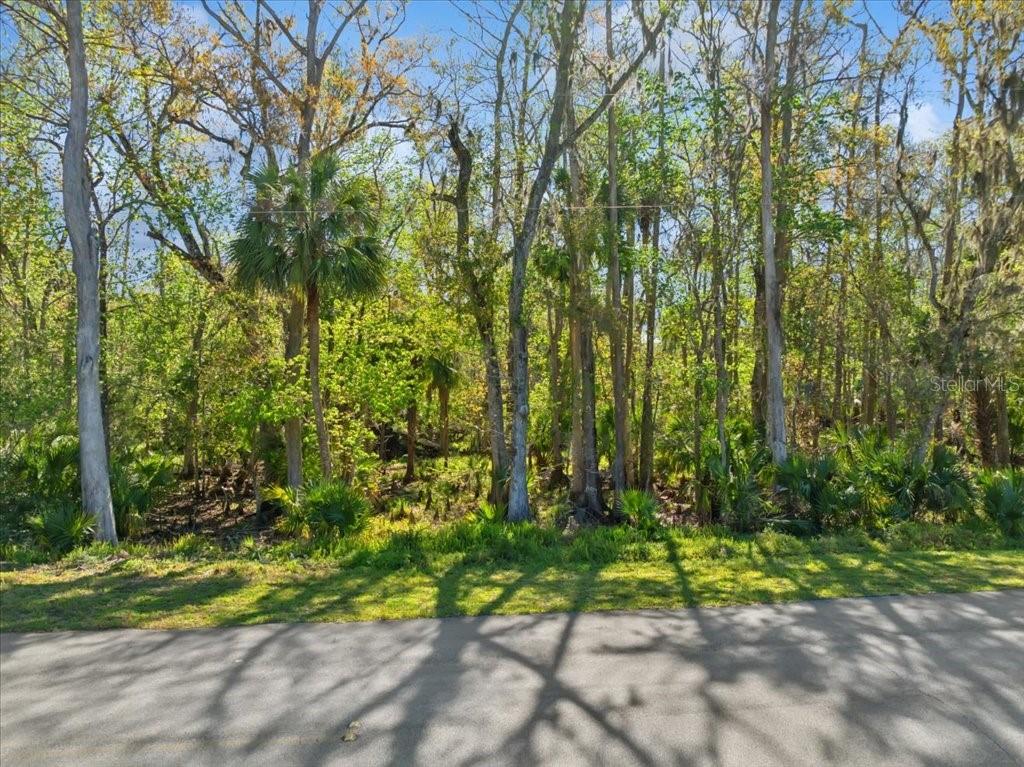 Property for sale at 138 BLARE DRIVE, PALM COAST, FL, 32137