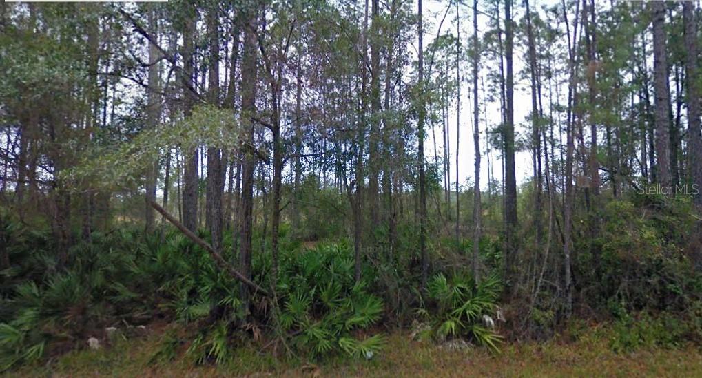 Property for sale at NE 65TH AVENUE, CITRA, FL, 32113