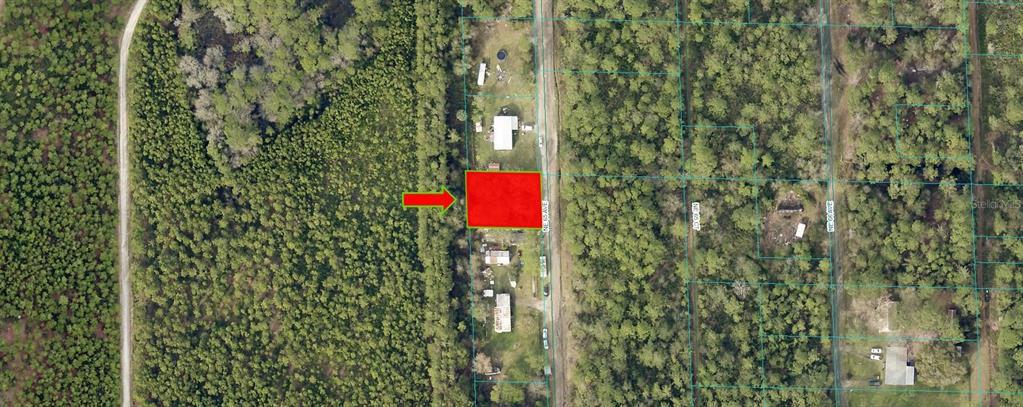 Property for sale at NE 65TH AVENUE, CITRA, FL, 32113