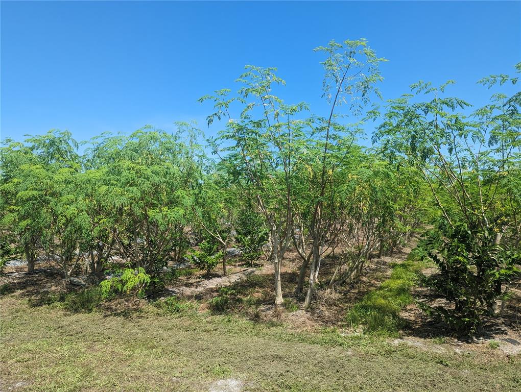 Property for sale at 16070 CARLTON LAKE ROAD, WIMAUMA, FL, 33598