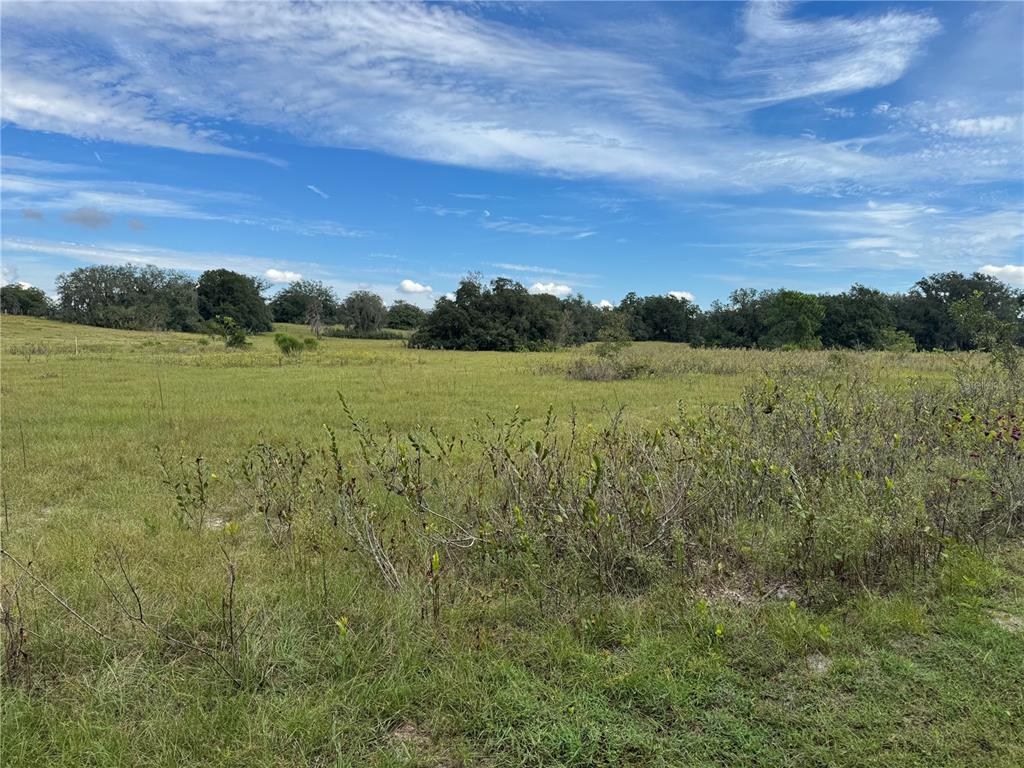 Property for sale at TBD HARRISON STREET, ASTATULA, FL, 34705