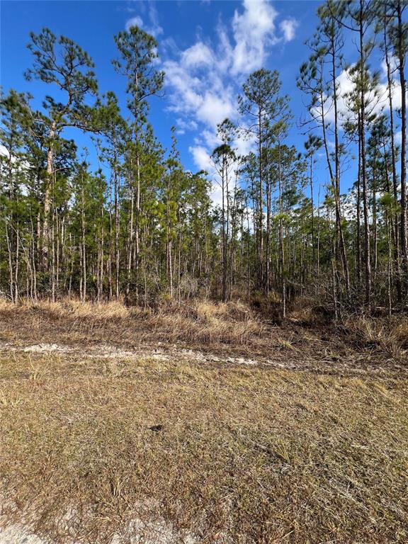 Property for sale at 6660 BALBOA BOULEVARD, SEBRING, FL, 33872