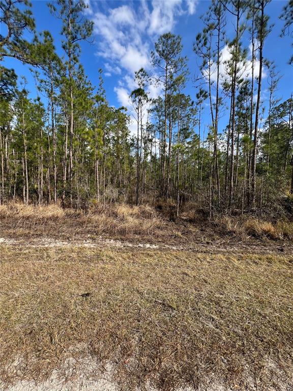 Property for sale at 6660 BALBOA BOULEVARD, SEBRING, FL, 33872