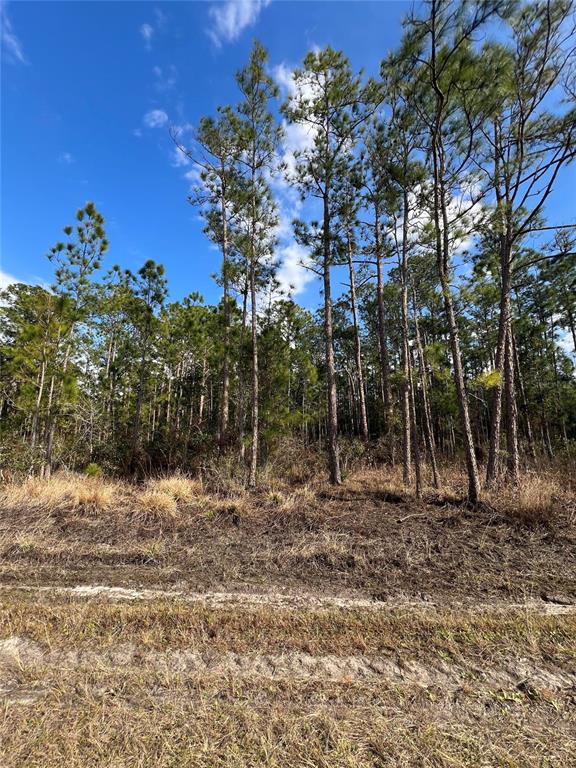 Property for sale at 6660 BALBOA BOULEVARD, SEBRING, FL, 33872