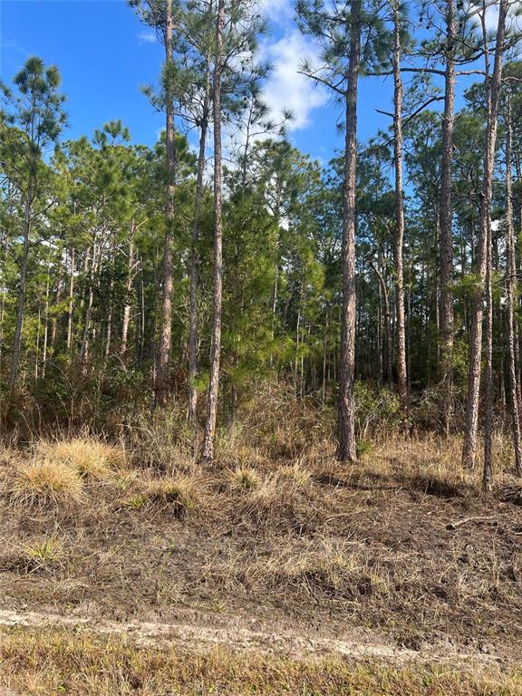 Property for sale at 6660 BALBOA BOULEVARD, SEBRING, FL, 33872