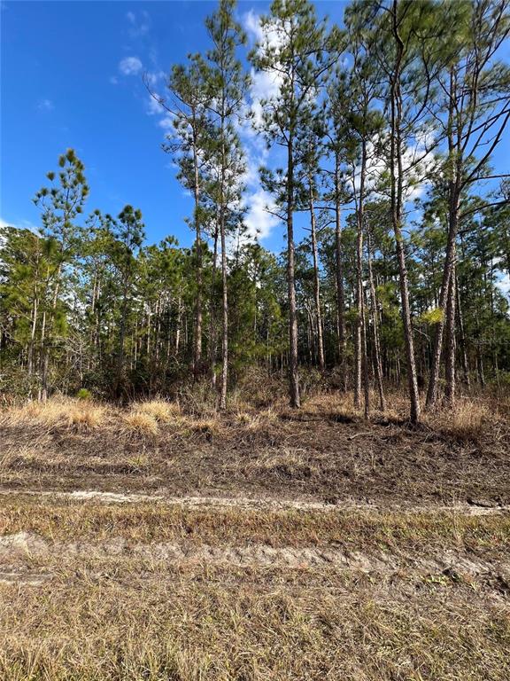 Property for sale at 6660 BALBOA BOULEVARD, SEBRING, FL, 33872