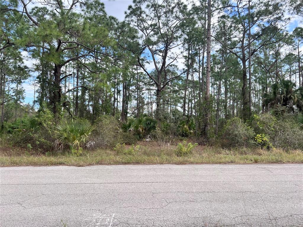 Property for sale at 1610 DESOTO AVENUE, LEHIGH ACRES, FL, 33972