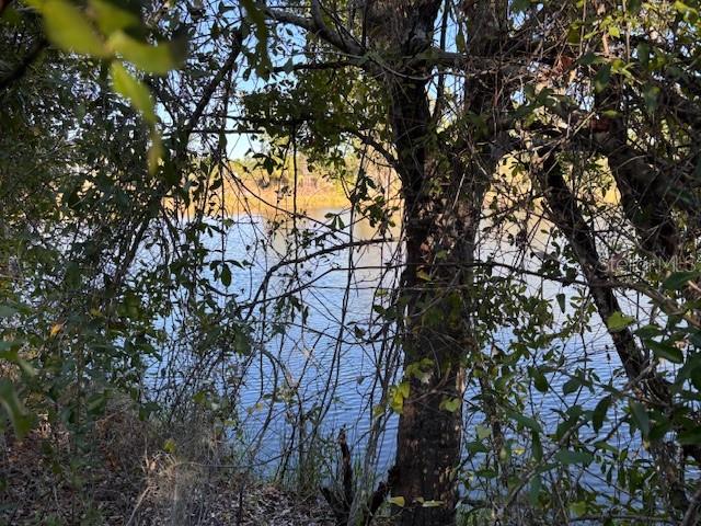View of the lake.