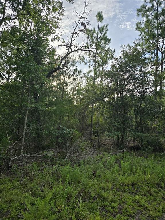 Property for sale at 00 NE 124TH TERRACE, WILLISTON, FL, 32696
