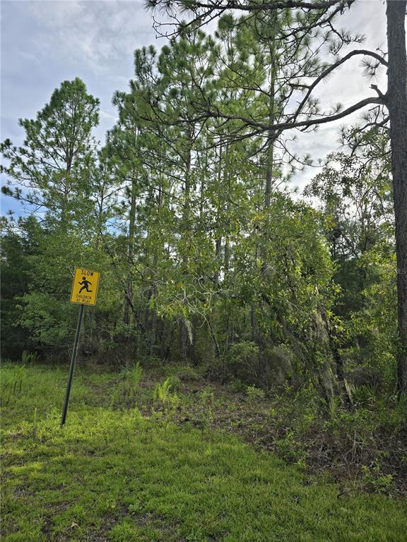 Property for sale at 00 NE 124TH TERRACE, WILLISTON, FL, 32696