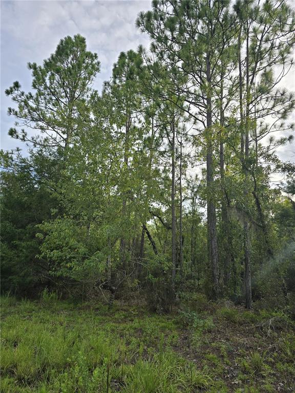 Property for sale at 00 NE 124TH TERRACE, WILLISTON, FL, 32696