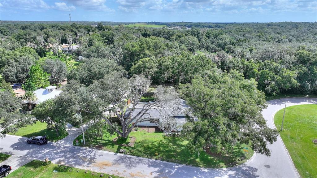 Property for sale at 12201 ELSMERE COURT, THONOTOSASSA, FL, 33592