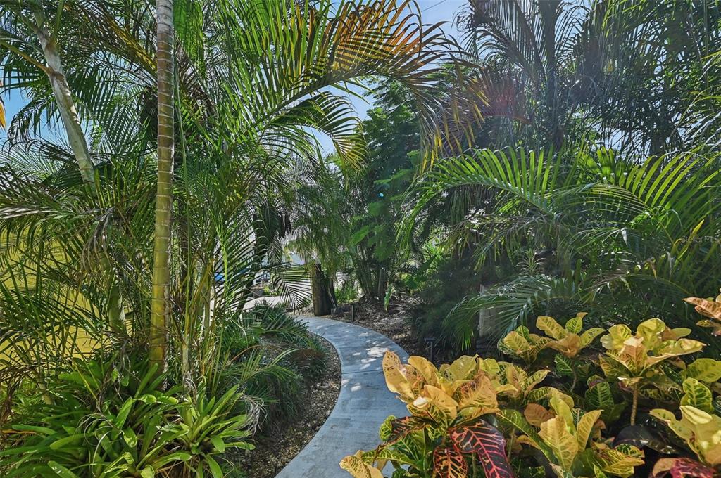 Tropical landscaping path to front