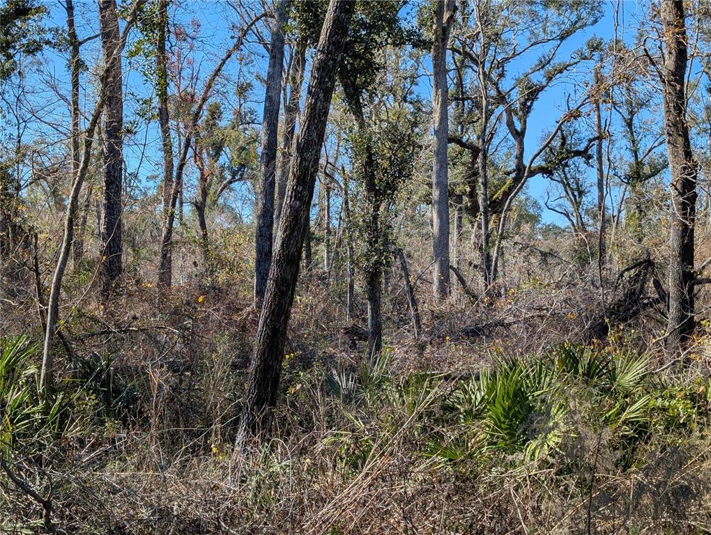 Property for sale at NW FOX RUN TRAIL UNIT 107, MAYO, FL, 32066