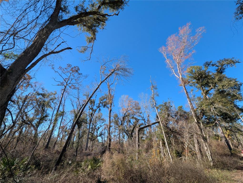 Property for sale at NW FOX RUN TRAIL UNIT 107, MAYO, FL, 32066