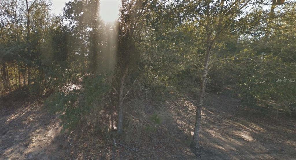 Property for sale at 304 CALIFORNIA AVENUE, INTERLACHEN, FL, 32148