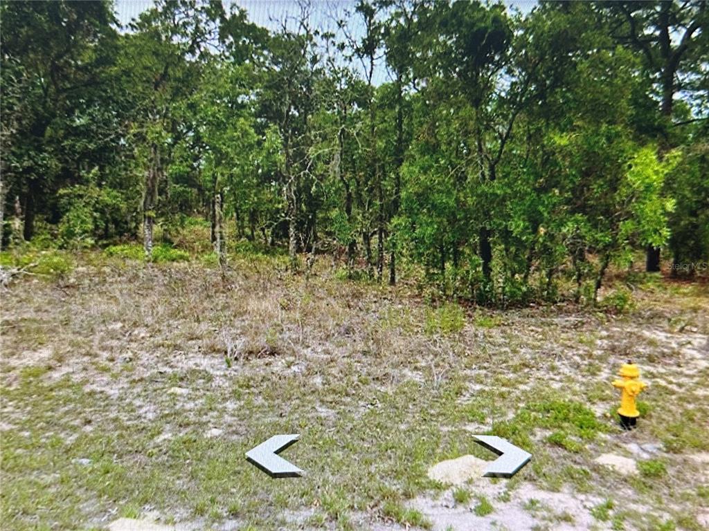 Property for sale at 2466 W SWANSON DRIVE, CITRUS SPRINGS, FL, 34434