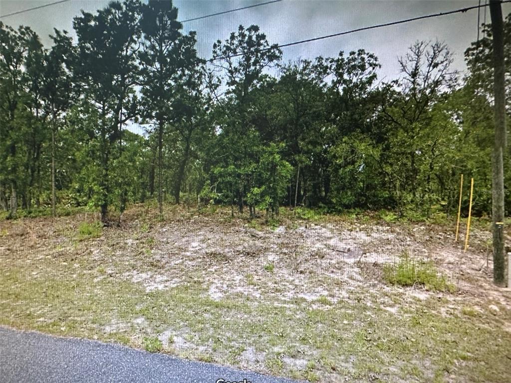 Property for sale at 2466 W SWANSON DRIVE, CITRUS SPRINGS, FL, 34434